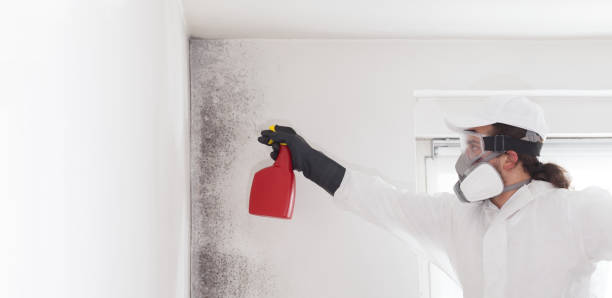 Best Crawl Space Mold Removal  in Odessa, MO